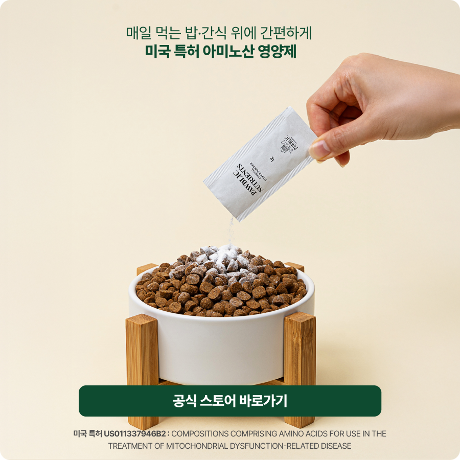 공식 스토어 바로가기