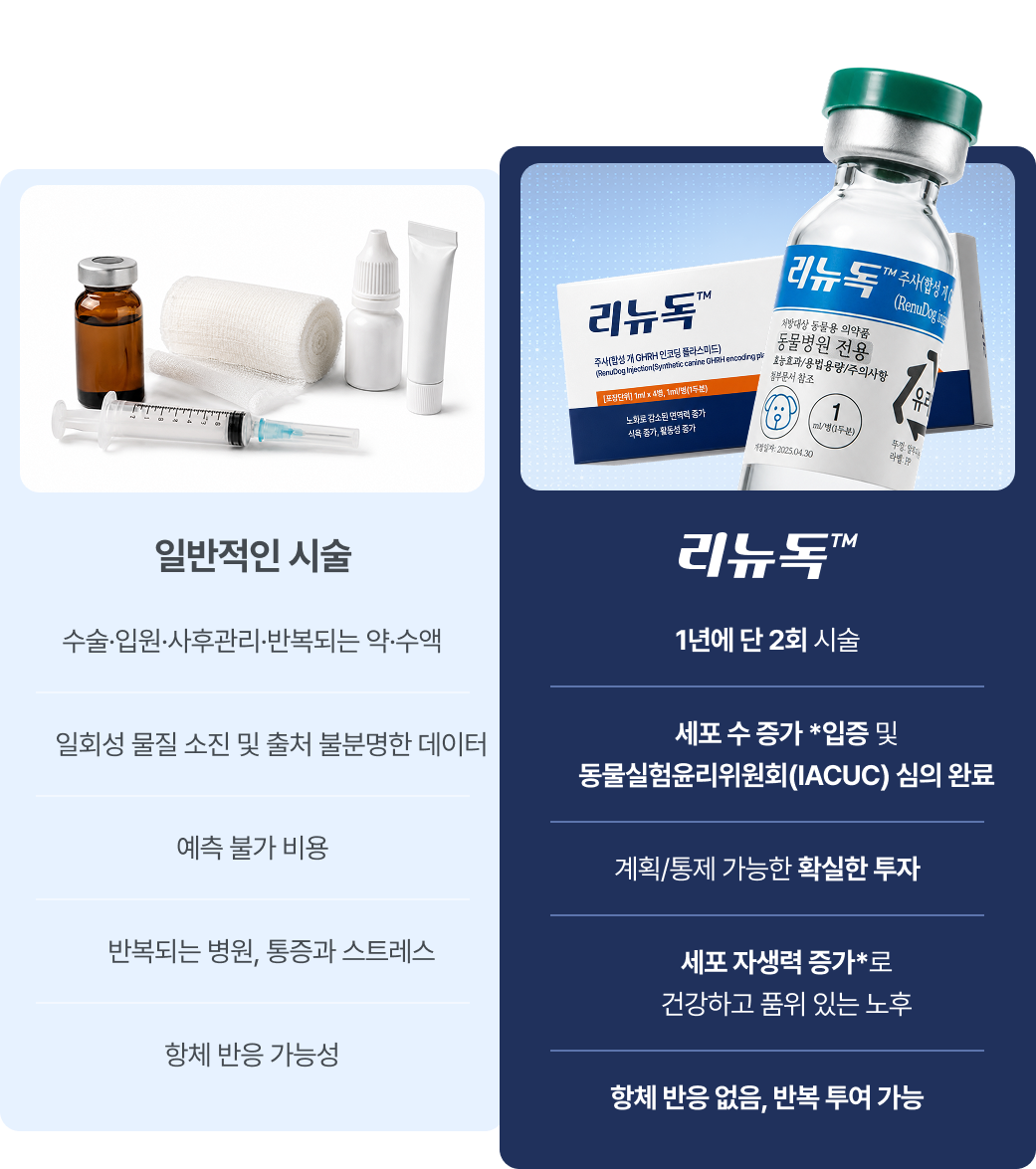 Renudog Our Promise Comparison